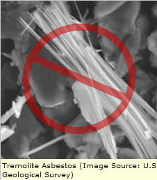 Tremolite Asbestos Total Environmental Services