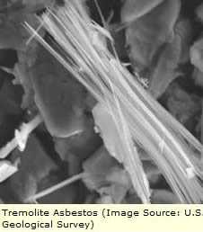 Magnified Asbestos Fibers